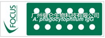 hga030hga050怎么注册_HGA嗜血细胞无形体IFA荧光玻片检测试剂盒（美国FOCUS）