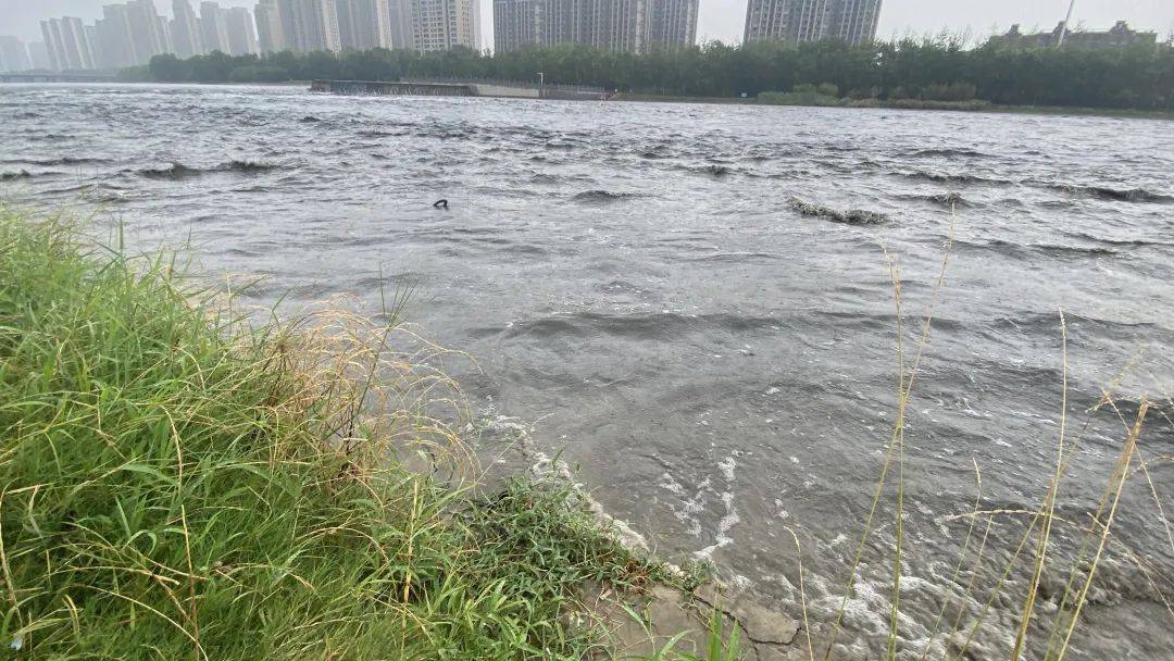 皇冠信用網开户_郑州多个隧道禁止通行！99条公交线路停运皇冠信用網开户，贾鲁河水位暴涨