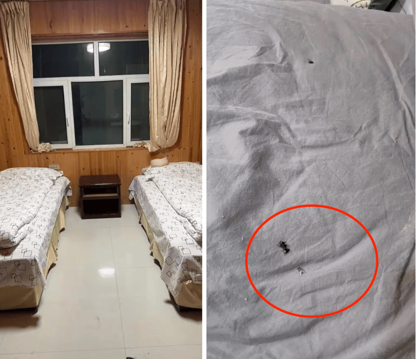 克罗地亚足球联赛
_99元豪华游克罗地亚足球联赛
,被骗到内裤不剩