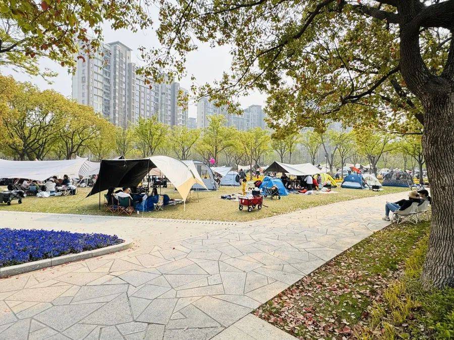 法国甲组联赛_上海明确：不得随意以安全为由禁止法国甲组联赛，尽量扩大范围！此前争议不断