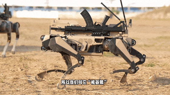 水户蜀葵vs山口雷法_九三阅兵“机器狼群”水户蜀葵vs山口雷法，首次亮相一个字：帅！与“机器狗”有这些区别→