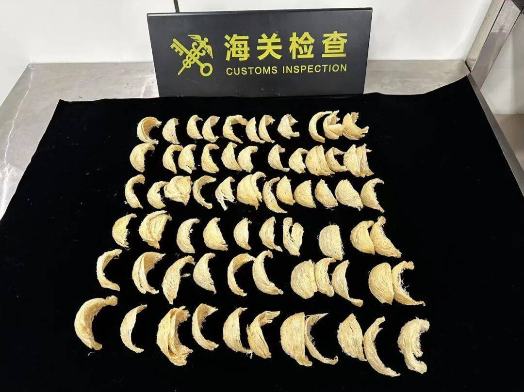 意大利丙组联赛 | 太恶心！女子被查意大利丙组联赛，在打底裤内搜到了用塑料袋包裹的大量食品……