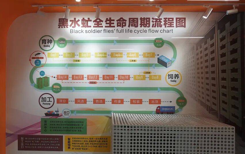 挪威超级联赛_“分了挪威超级联赛,早分了”!98.5%的深圳人,熟知这件事!