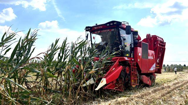 皇冠信用網_全国26家实验室参与皇冠信用網！由雷沃支持的这场“田间论剑”举行