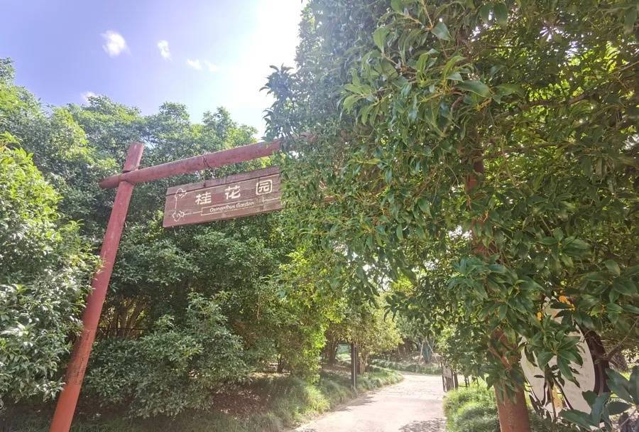 皇冠信用網代理如何注册_上海天气大反转!雨水+冷空气来袭皇冠信用網代理如何注册,气温将骤降...“差不多行了,再热就不礼貌了”