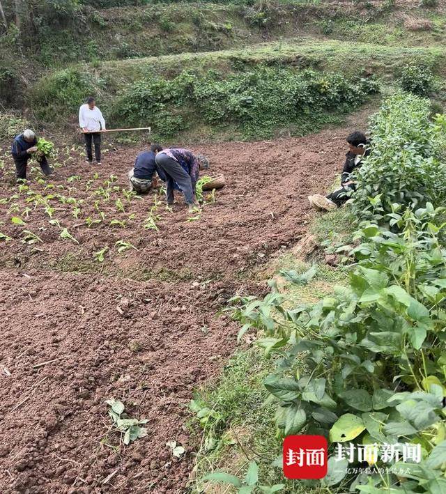 皇冠信用网哪里申请_女子失联12天通风井下获救皇冠信用网哪里申请，丈夫耳语“千万别睡，儿子还在找你”｜封面头条