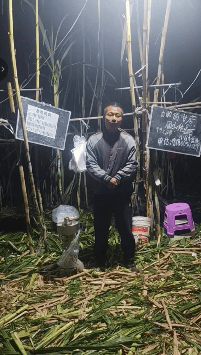 皇冠信用网出租代理_四川眉山自助“偷甘蔗”老板称有人只“偷”不给钱皇冠信用网出租代理，当地文旅：已安排人员现场协调